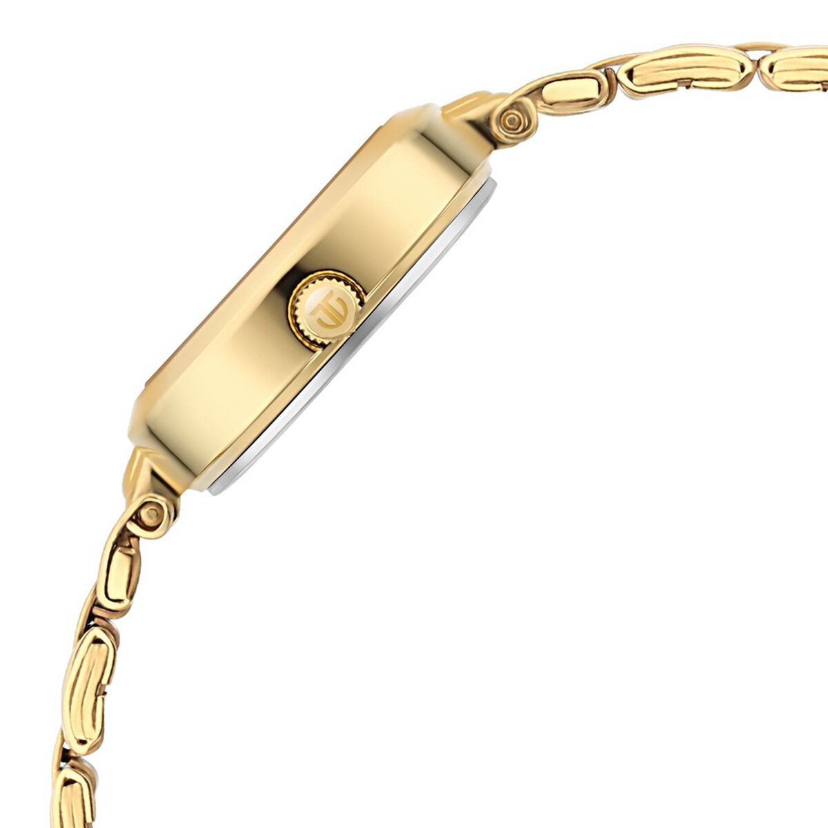 Titan Lagan Silver Dial Analog Metal Strap Watch for Women 4