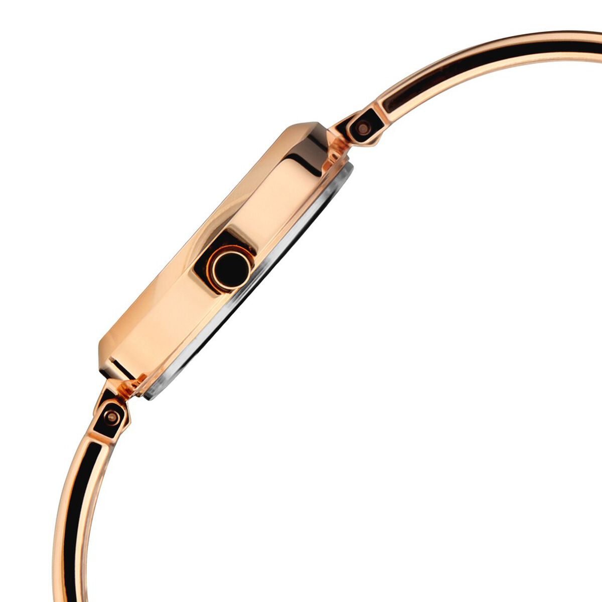 Titan Raga Viva Rose Gold Metal Analog Strap Watch for Women 4