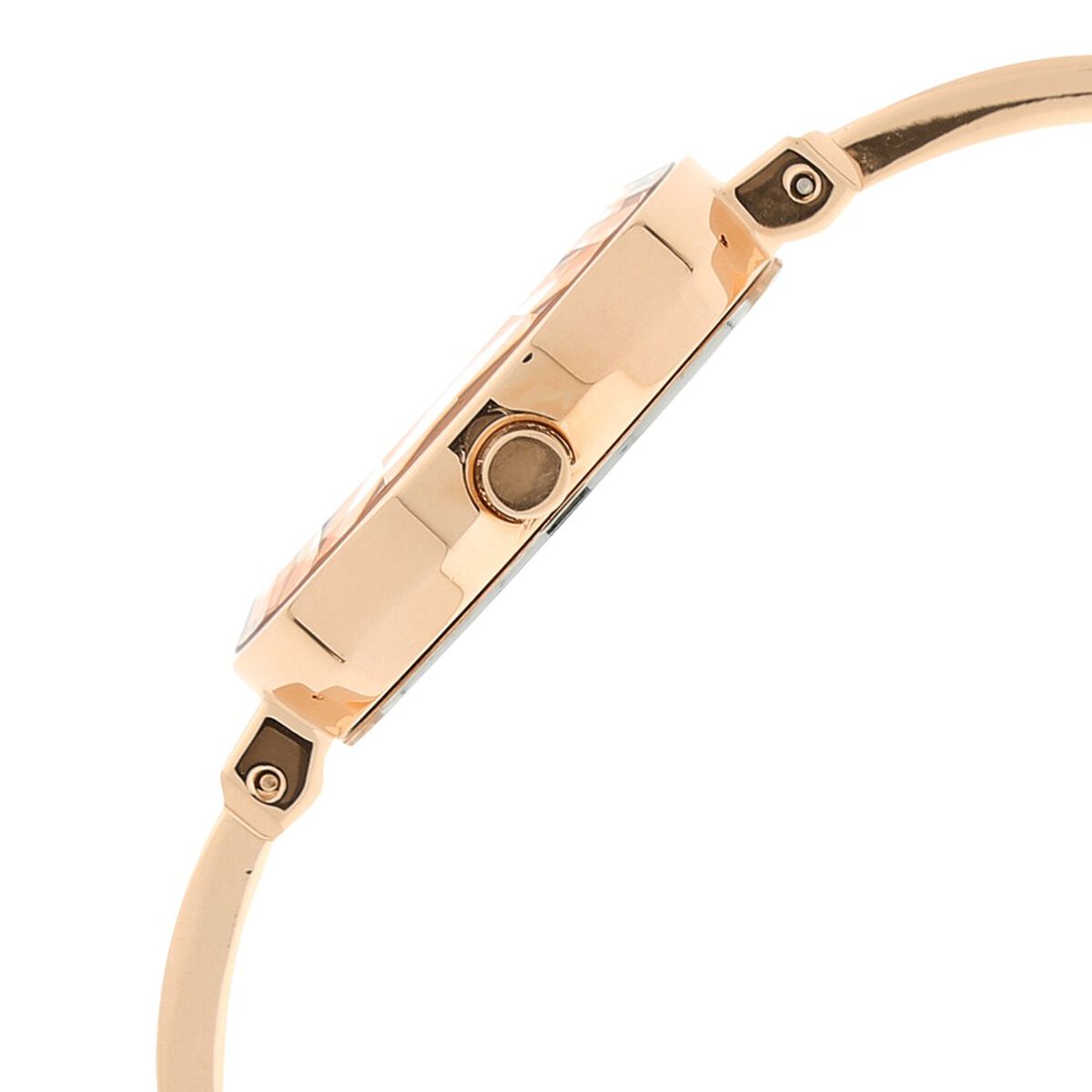 Titan Raga Viva Quartz Analog Rose Gold Round Dial Rose Gold Metal Strap Watch For Women 3
