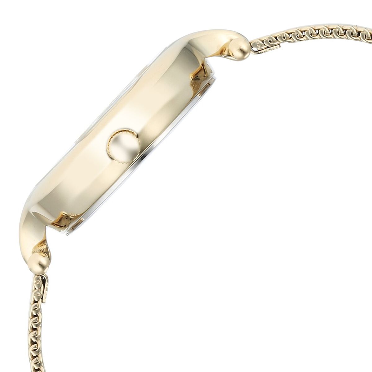 Titan Raga Showstopper Quartz Analog Silver Dial Golden Metal Strap Watch For Women 4