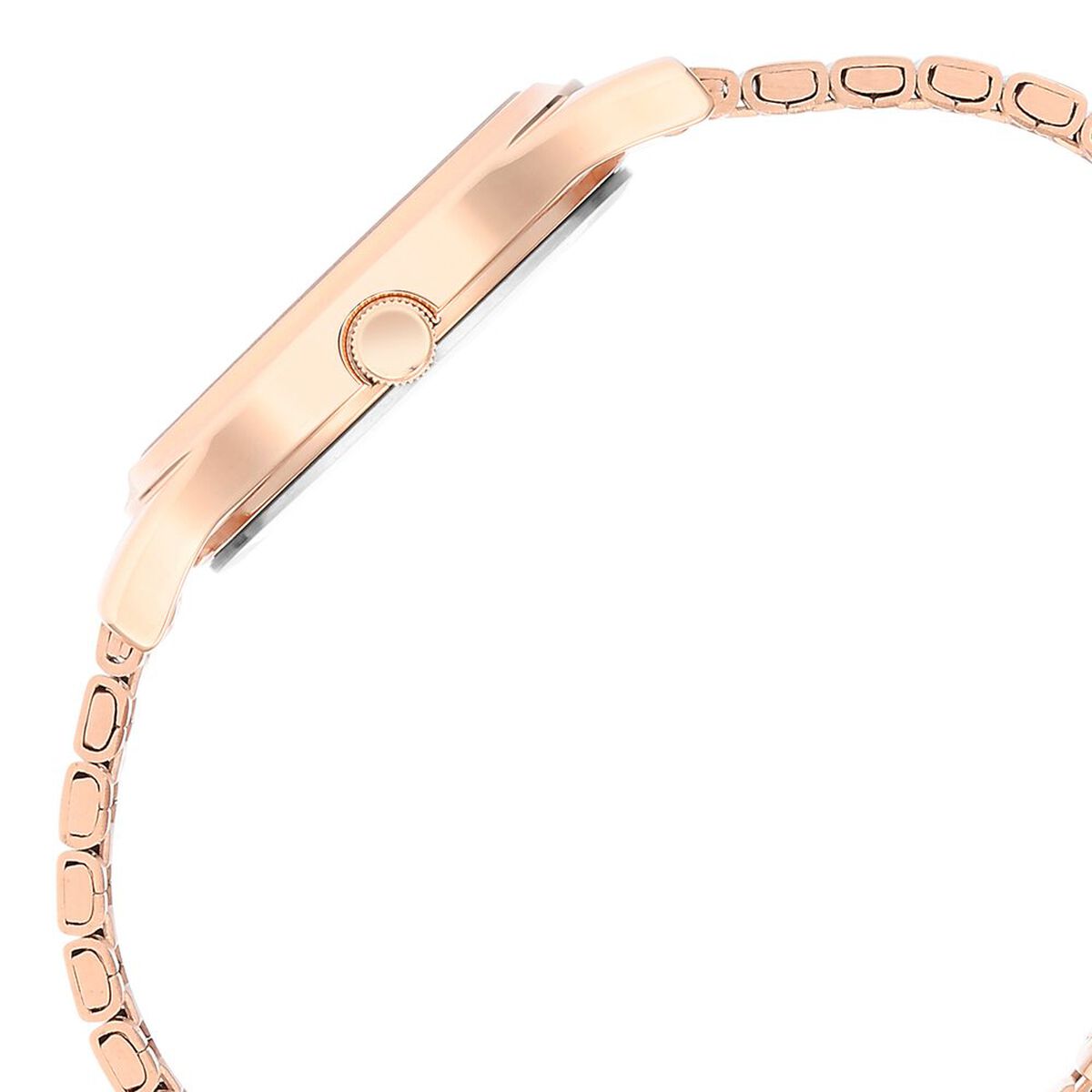 Titan Karishma Brown Dial Metal Strap Watch for Women 4