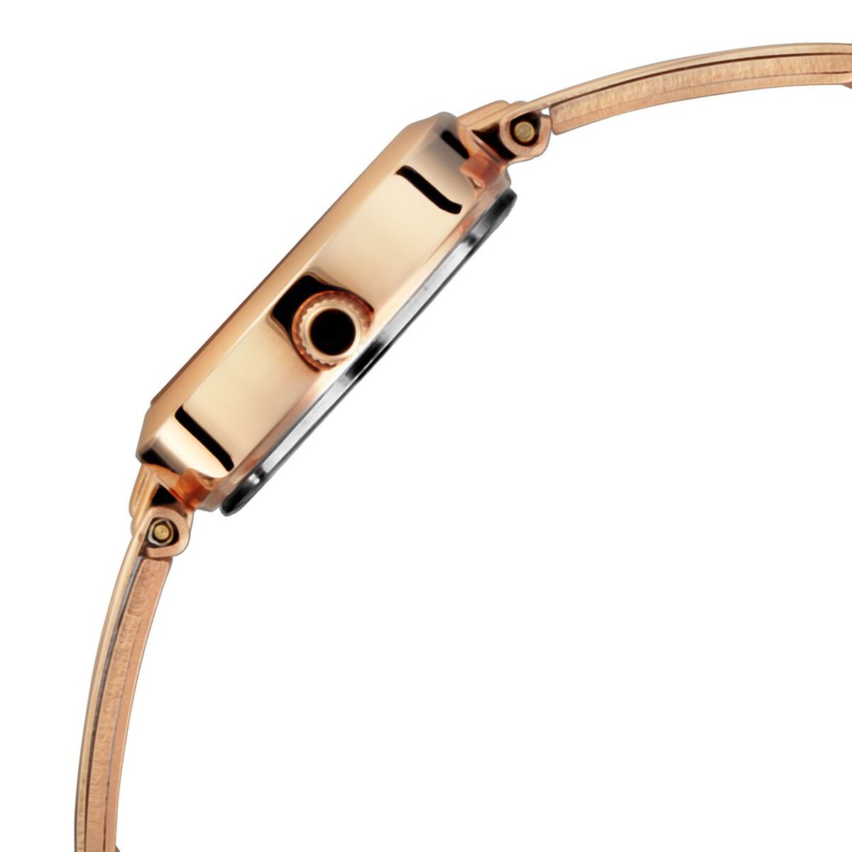 Titan Quartz Analog Silver Dial Rose Gold Metal Strap Watch For Women 4