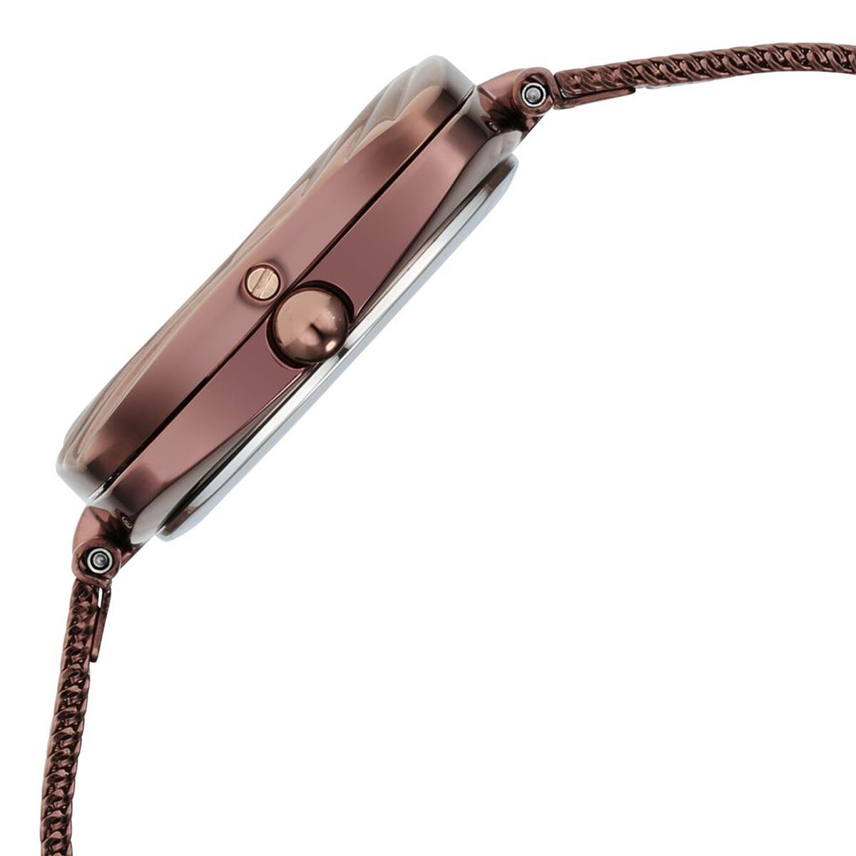 Titan Raga Moments of Joy Brown Dial Analog Stainless Steel Strap Watch for Women 5