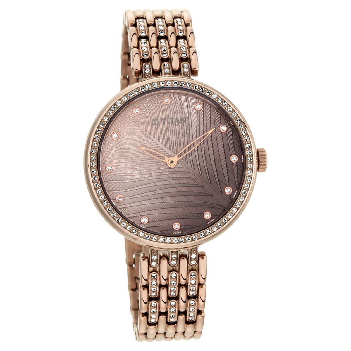 Titan Purple Animalia Quartz Analog Brown Dial Brown Stainless Steel Strap Watch For Women 2