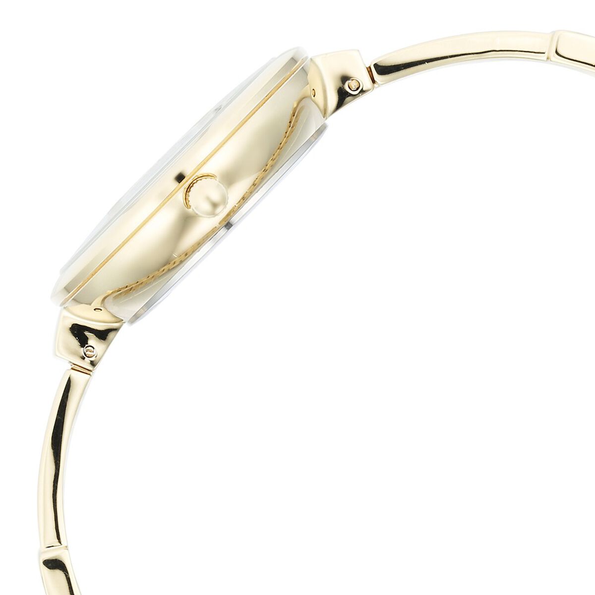 Titan Raga Showstopper Quartz Analog Mother Of Pearl Dial Metal Strap Watch for Women 4
