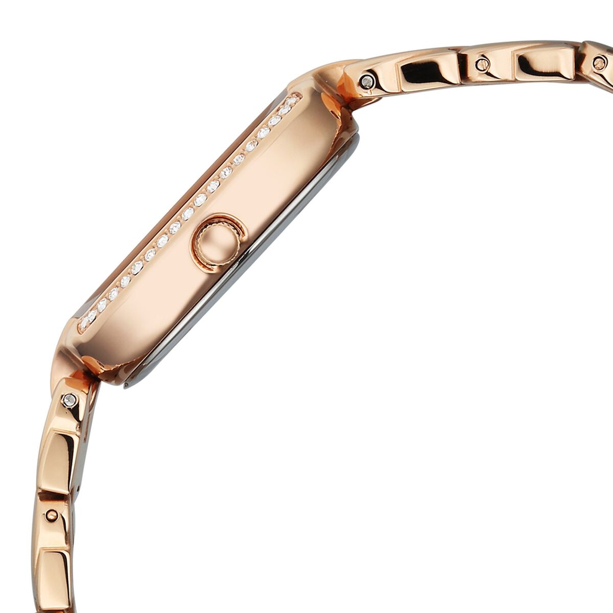 Titan Raga Showstopper Quartz Analog Rose Gold Dial Rose Gold Metal Strap Watch For Women 4