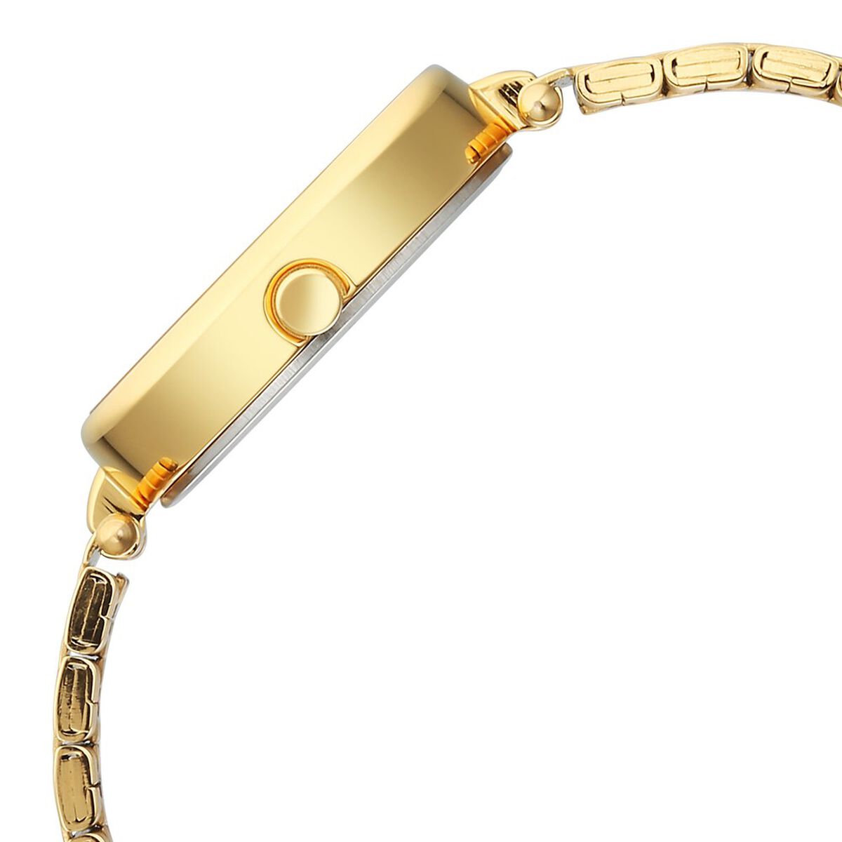 Titan Karishma Quartz Analog Silver Dial Golden Stainless Steel Strap Watch For Women 4