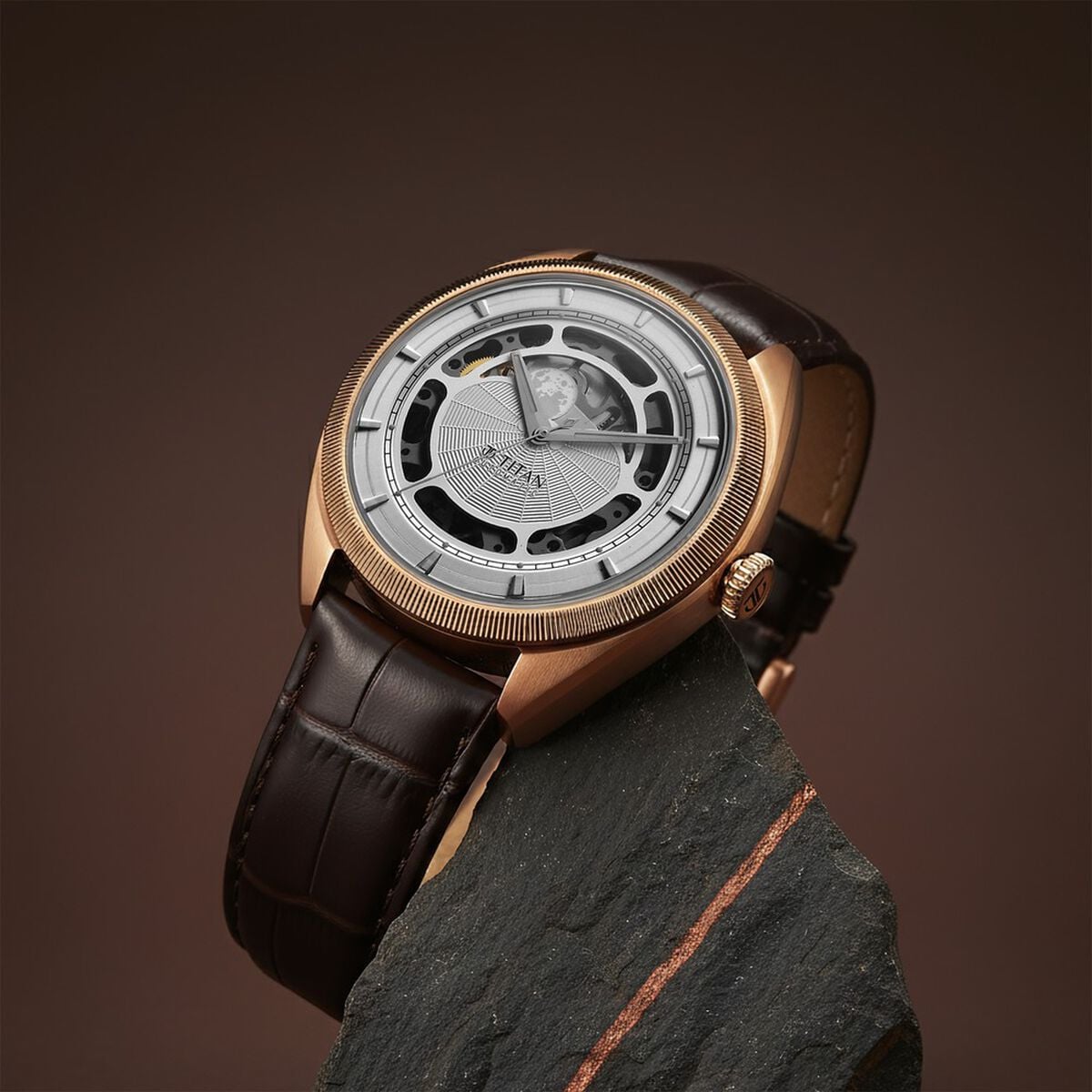 Titan Stellar Cupola Automatic Analog with Sun Moon Phase and Silver Dial Brown Leather Strap Watch for Men 1