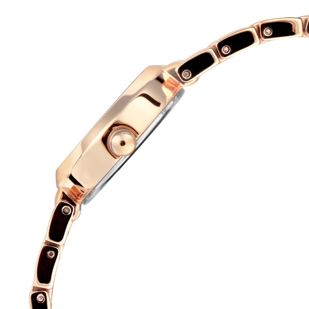 Titan Raga Viva Rose Gold Dial Women Watch With Metal Strap 4