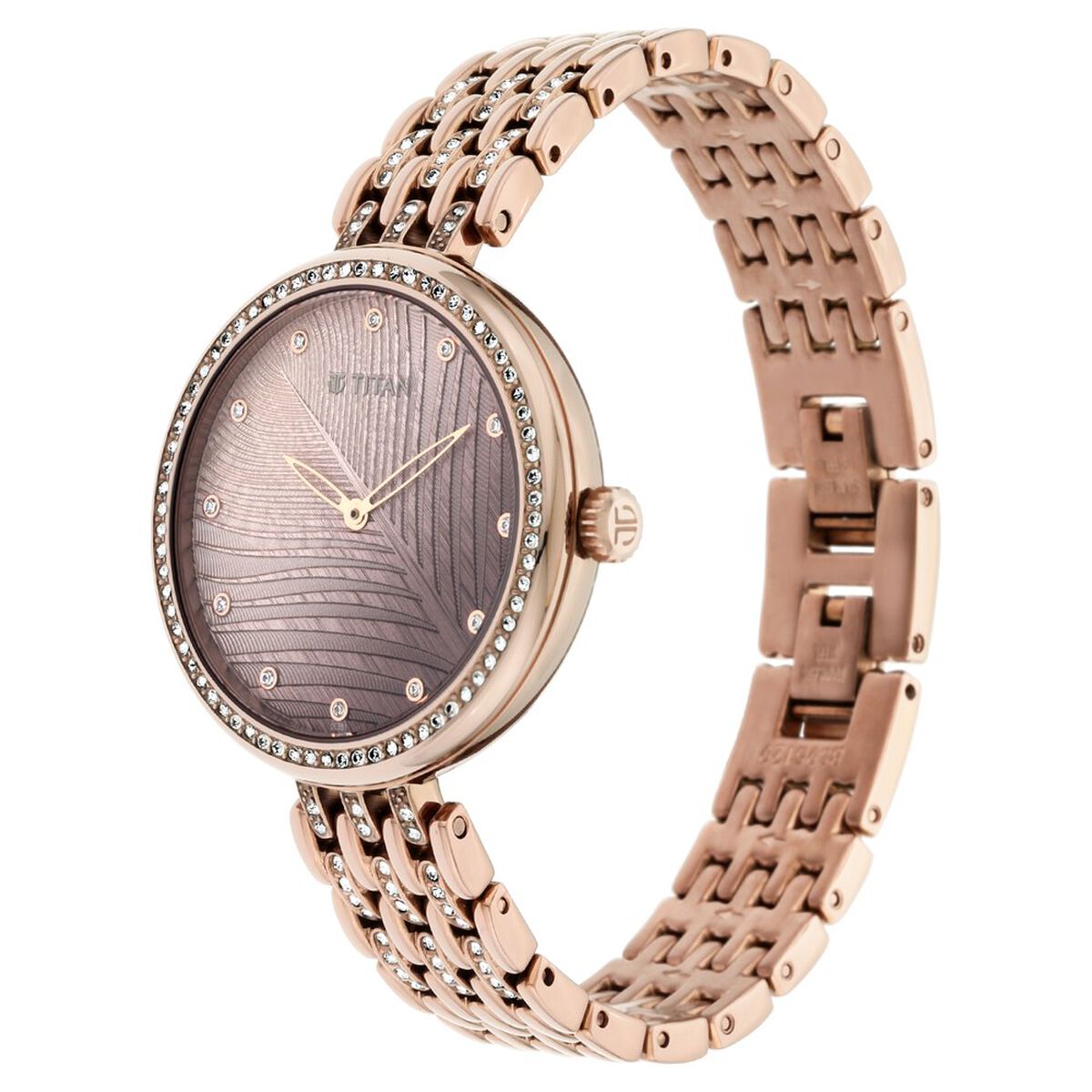 Titan Purple Animalia Quartz Analog Brown Dial Brown Stainless Steel Strap Watch For Women 4