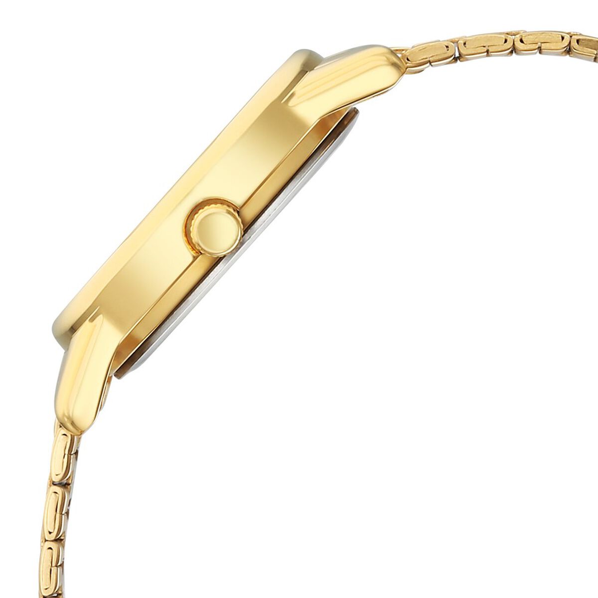 Titan Karishma Quartz Analog Silver Dial Golden Stainless Steel Strap Watch For Women 4