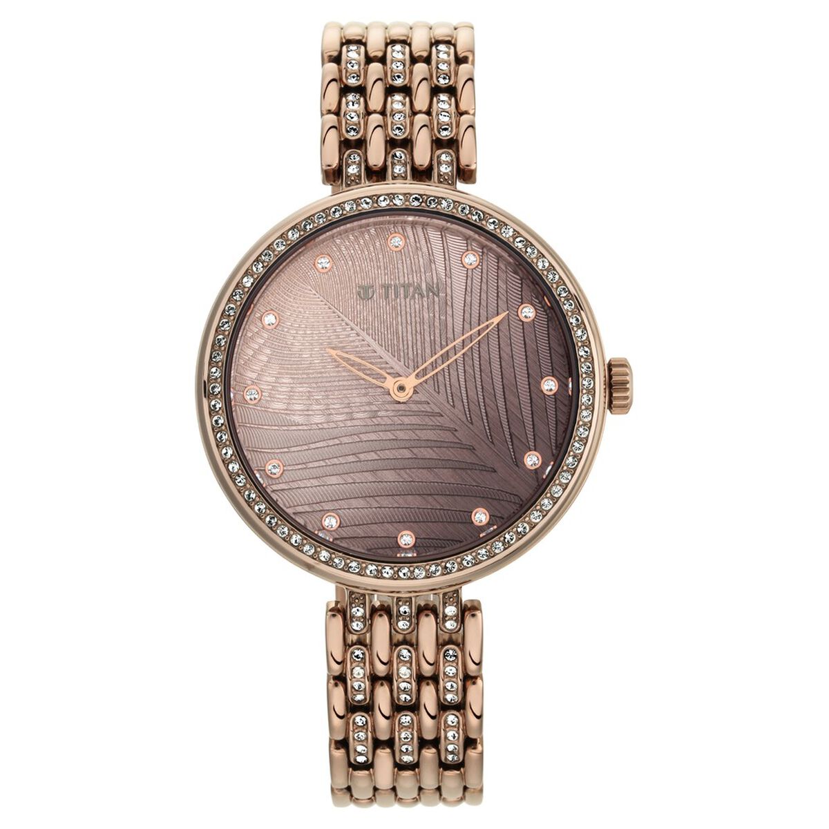 Titan Purple Animalia Quartz Analog Brown Dial Brown Stainless Steel Strap Watch For Women 3