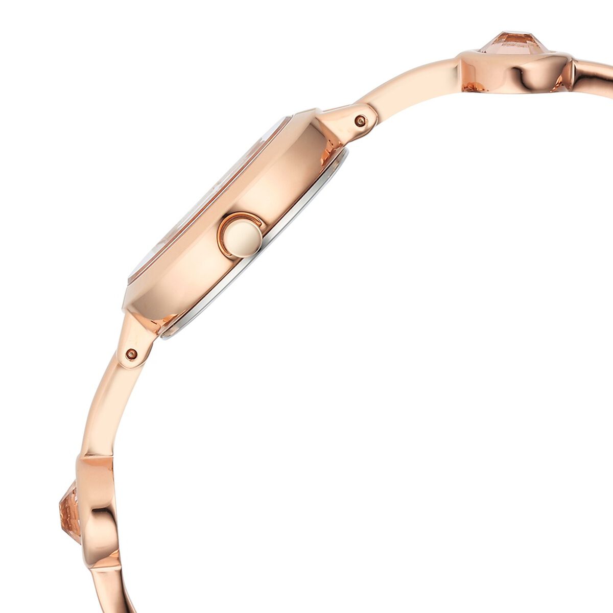 Titan Raga Viva Quartz Analog Rose Gold Dial Metal Strap Watch for Women 4